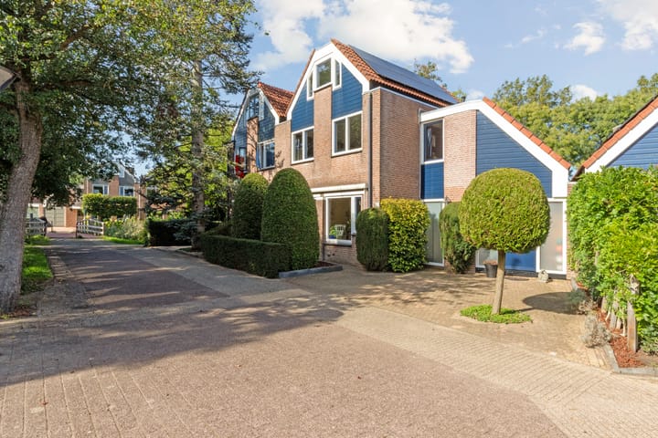 Vecht 20 main image