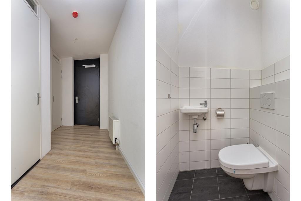 House Image 3