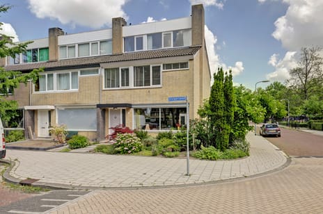 undefined main image