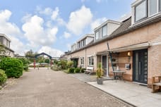 Afbeelding van Regulus 26 - Derde foto