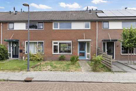undefined main image