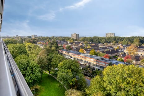 Afbeelding van De Roerdomp 166 - Tweede foto
