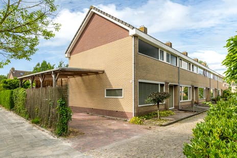 undefined main image