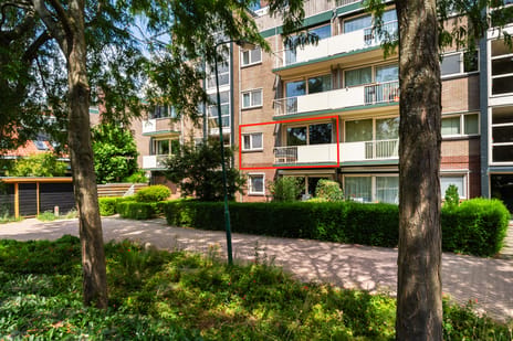undefined main image