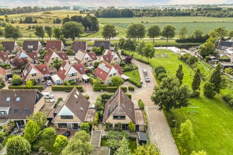 Afbeelding van Koninginnekruid 12 - Derde foto