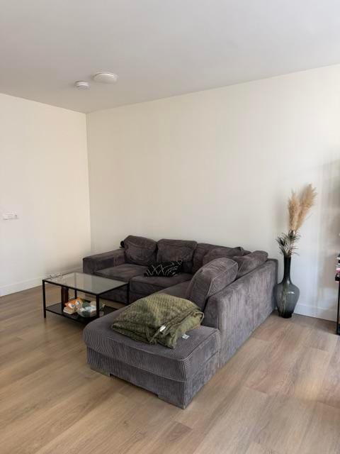 House Image 4