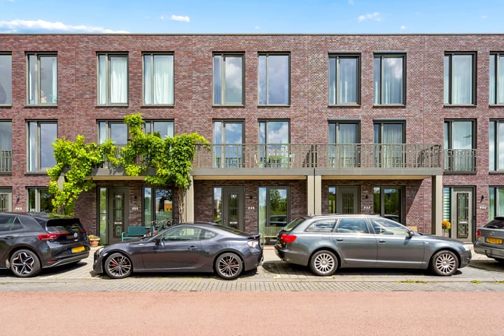 Zilveren Florijnlaan 239 main image