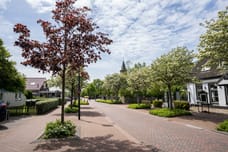 Afbeelding van Kikkertstraat 6-J - Derde foto