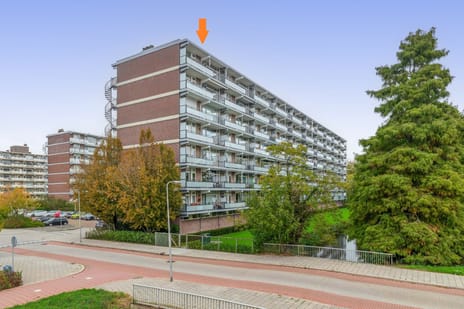 Alkenoord 61 main image