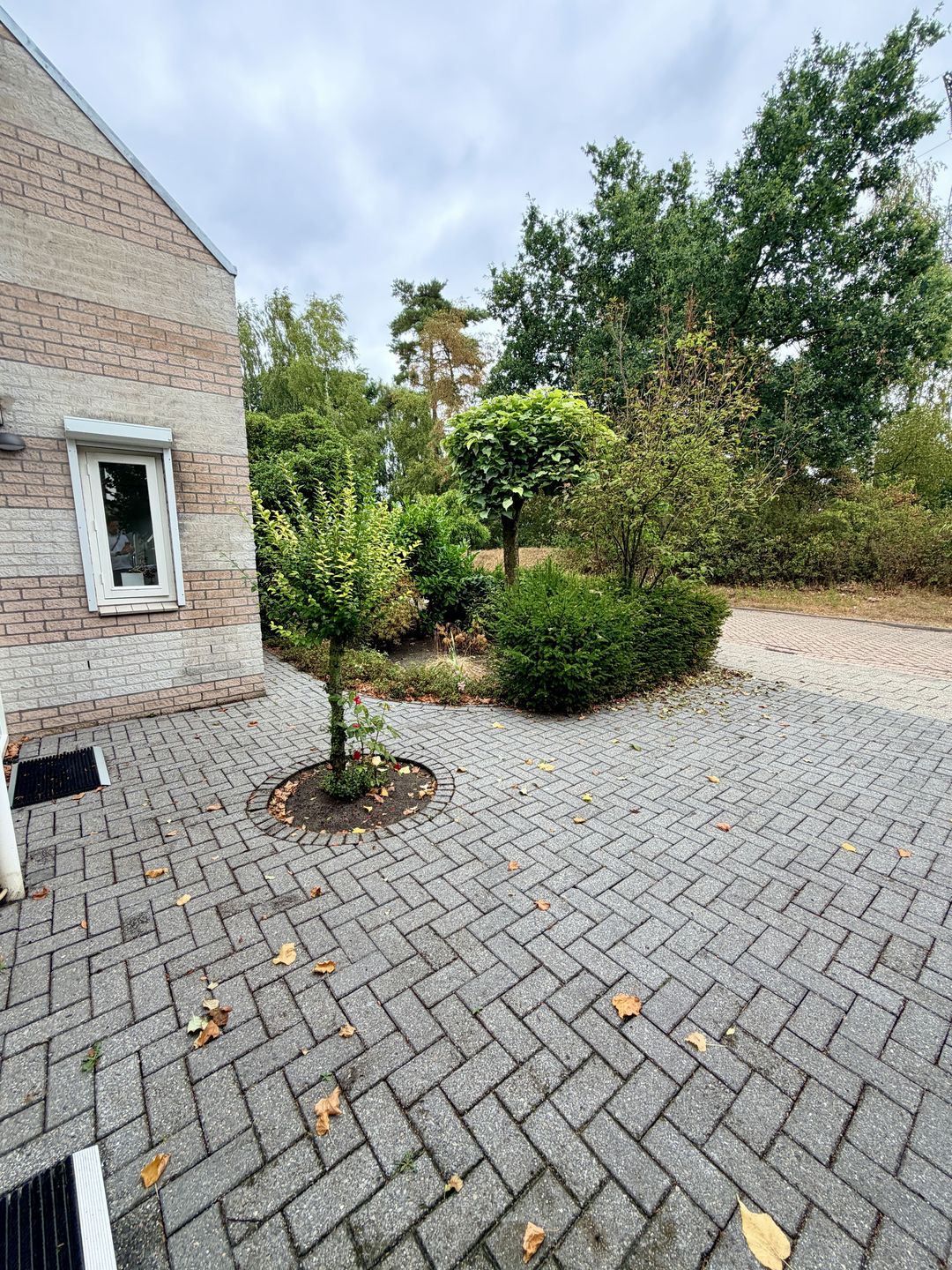 House Image 4
