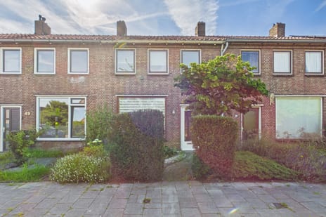 undefined main image