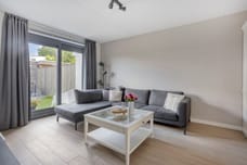 Afbeelding van Watersalamander 4 - Derde foto