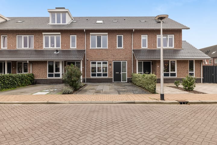 Meerval 39 main image