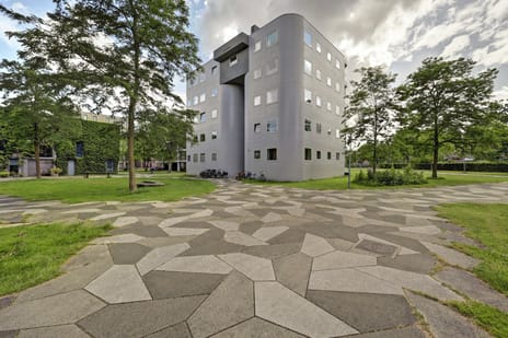 undefined main image