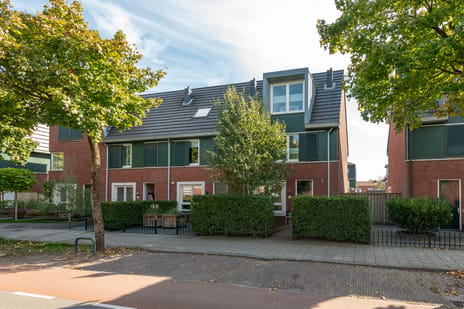 undefined main image