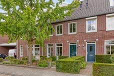Afbeelding van Sterappel 31 - Derde foto