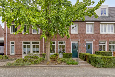 Sterappel 31 main image