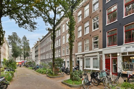 Saenredamstraat 50-3A main image