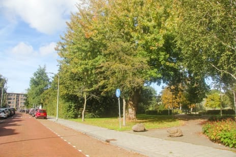 Afbeelding van Dignaland 26 - Derde foto