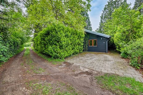 undefined main image