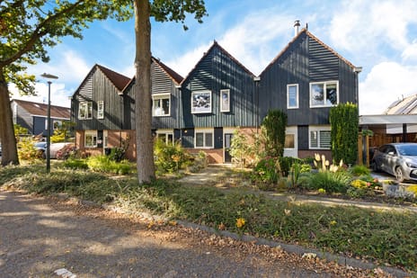 Afbeelding van Vlierelaar 6 - Tweede foto