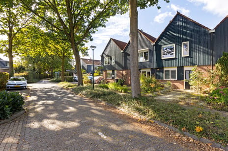 Afbeelding van Vlierelaar 6 - Derde foto