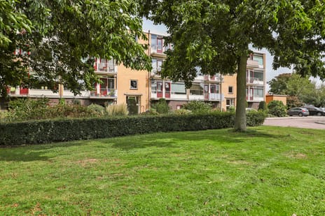 Wilgenoord 95 main image