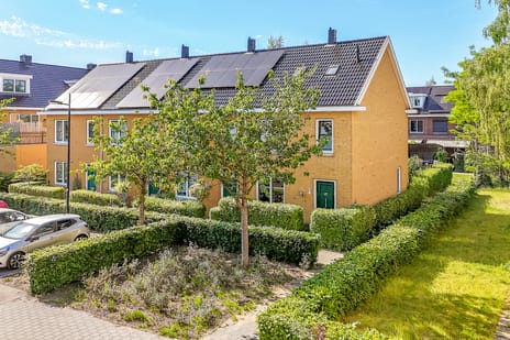undefined main image