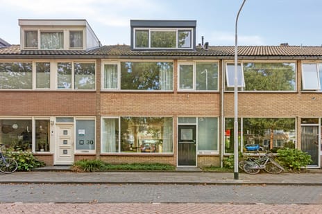 Roland Holsthof 29 main image