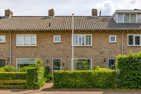 undefined main image