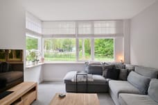 Afbeelding van Hondsdraf 6 - Derde foto