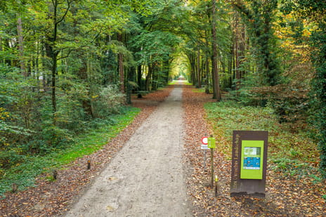 Oude Rijksstraatweg 6 tertiary image