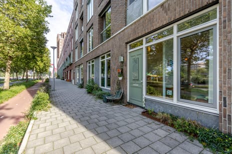Oranjeboomstraat 28-B main image