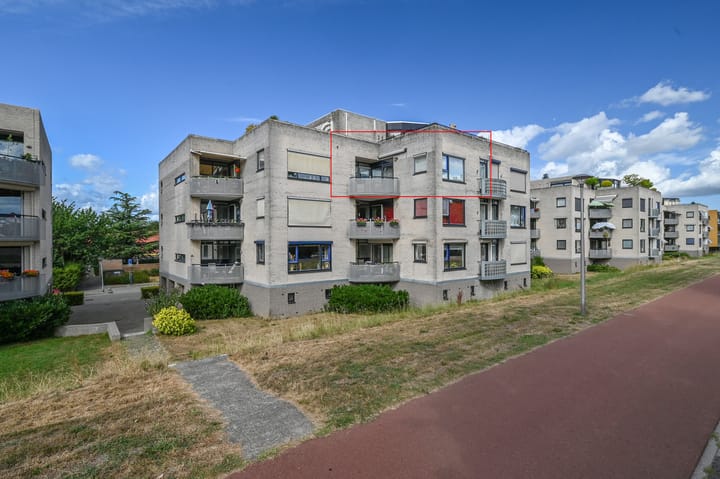 Sterrekruid 73 main image