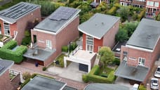 Afbeelding van Zomereik 6 - Tweede foto