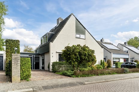 Schouw 3 main image