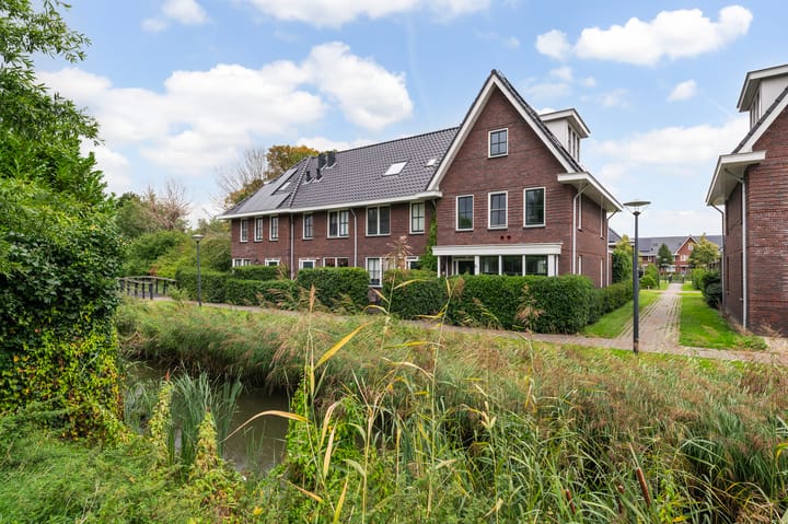 Beeldsnijderpad 5 main image