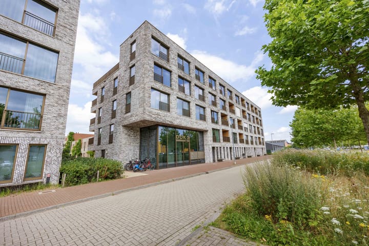 De Kaai 37 main image