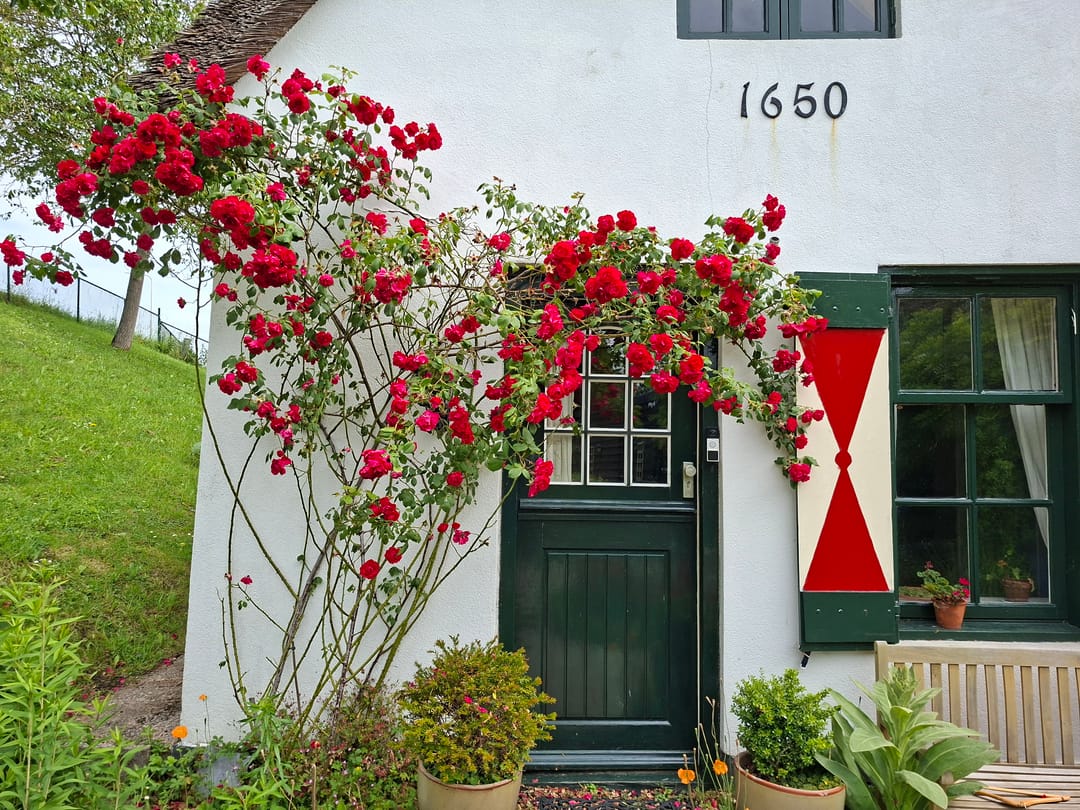 House Exterior