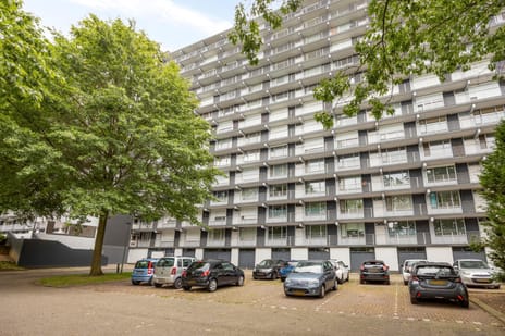 Henri Dunantstraat 301 main image