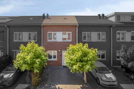 undefined main image
