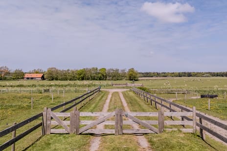 Westerweg 47 tertiary image