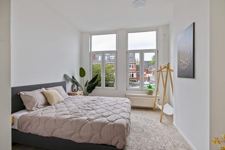 Anna Paulownastraat 66-a tertiary image