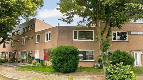 undefined main image