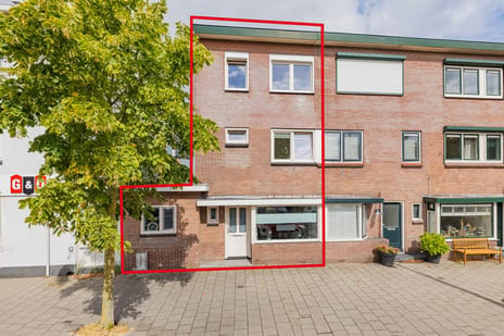 undefined main image