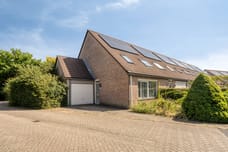 Afbeelding van Grote ratelaar 117 - Tweede foto