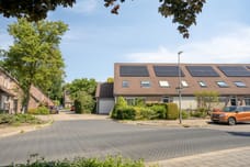 Afbeelding van Grote ratelaar 117 - Derde foto