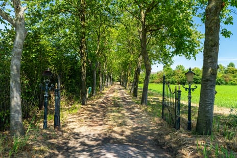 Almweg 9 tertiary image