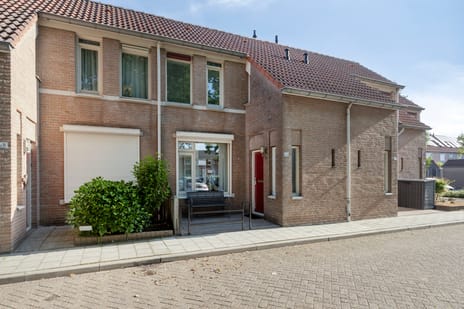 undefined main image