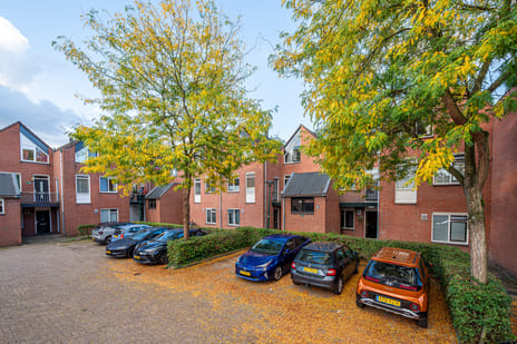 Afbeelding van Antilopespoor 157 - Tweede foto